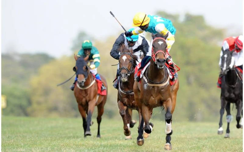 Exploring the evolution of horse racing in Kenya